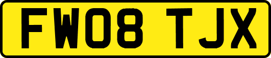 FW08TJX