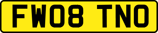 FW08TNO