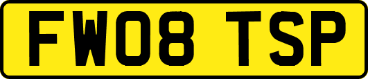 FW08TSP