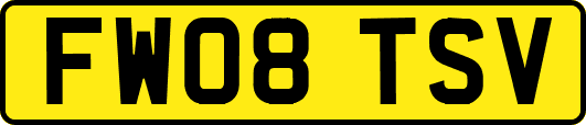 FW08TSV