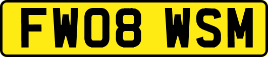 FW08WSM