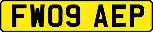 FW09AEP