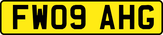FW09AHG