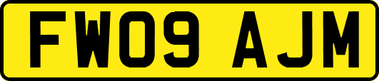 FW09AJM