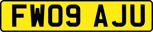 FW09AJU
