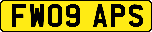 FW09APS