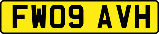 FW09AVH