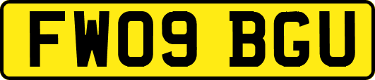 FW09BGU