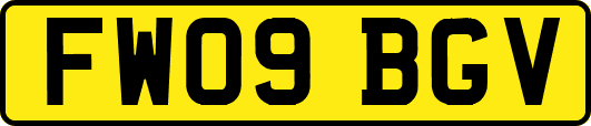 FW09BGV