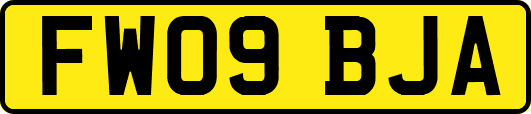 FW09BJA
