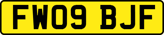 FW09BJF
