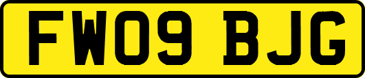 FW09BJG