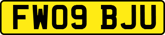 FW09BJU