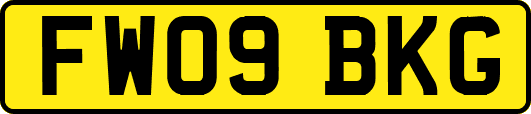 FW09BKG