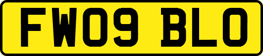 FW09BLO