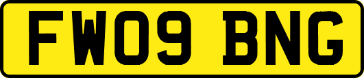 FW09BNG