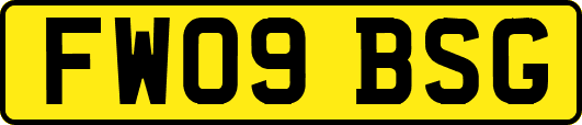 FW09BSG