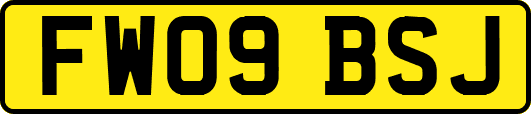 FW09BSJ