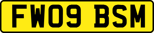 FW09BSM