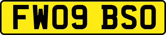 FW09BSO