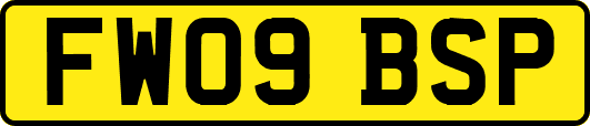 FW09BSP