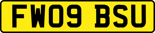 FW09BSU