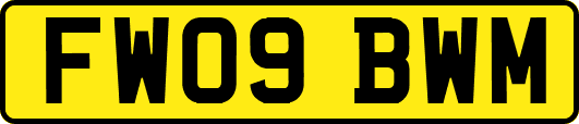 FW09BWM