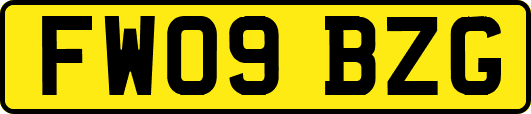 FW09BZG