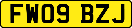 FW09BZJ
