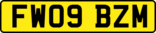 FW09BZM