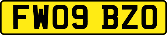 FW09BZO