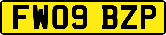 FW09BZP