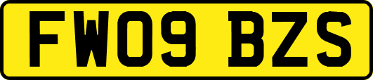 FW09BZS