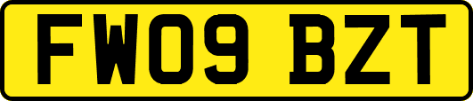 FW09BZT