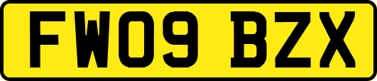 FW09BZX