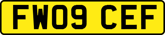 FW09CEF