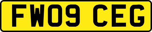 FW09CEG