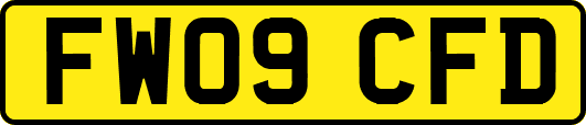 FW09CFD