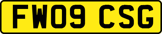 FW09CSG