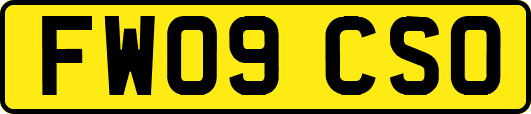 FW09CSO