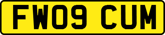FW09CUM