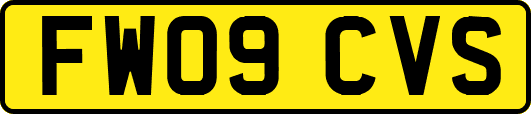 FW09CVS