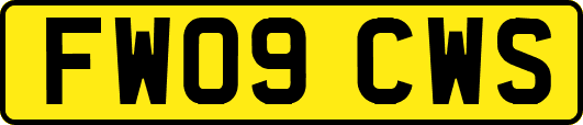 FW09CWS