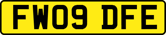 FW09DFE
