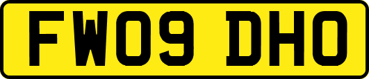 FW09DHO