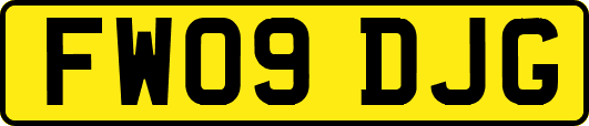 FW09DJG