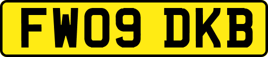 FW09DKB