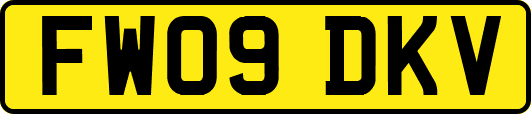 FW09DKV