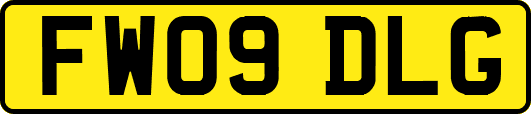 FW09DLG