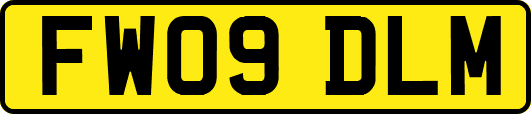 FW09DLM